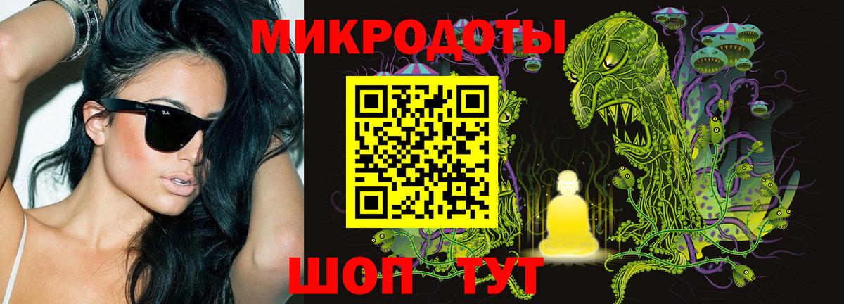 Новодвинск  Галлюциногенные грибы Psilocybe  Вход с VPN 