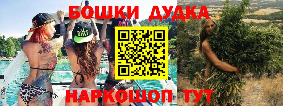 Конопля индика Новодвинск